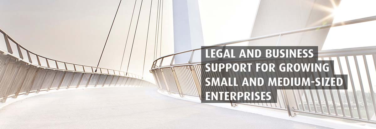 LEGAL AND BUSINESS SUPPORT FOR GROWING SMALL AND MEDIUM-SIZED ENTERPRISES AND PROFESSIONALS